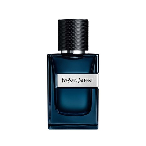 Y Intense EDP