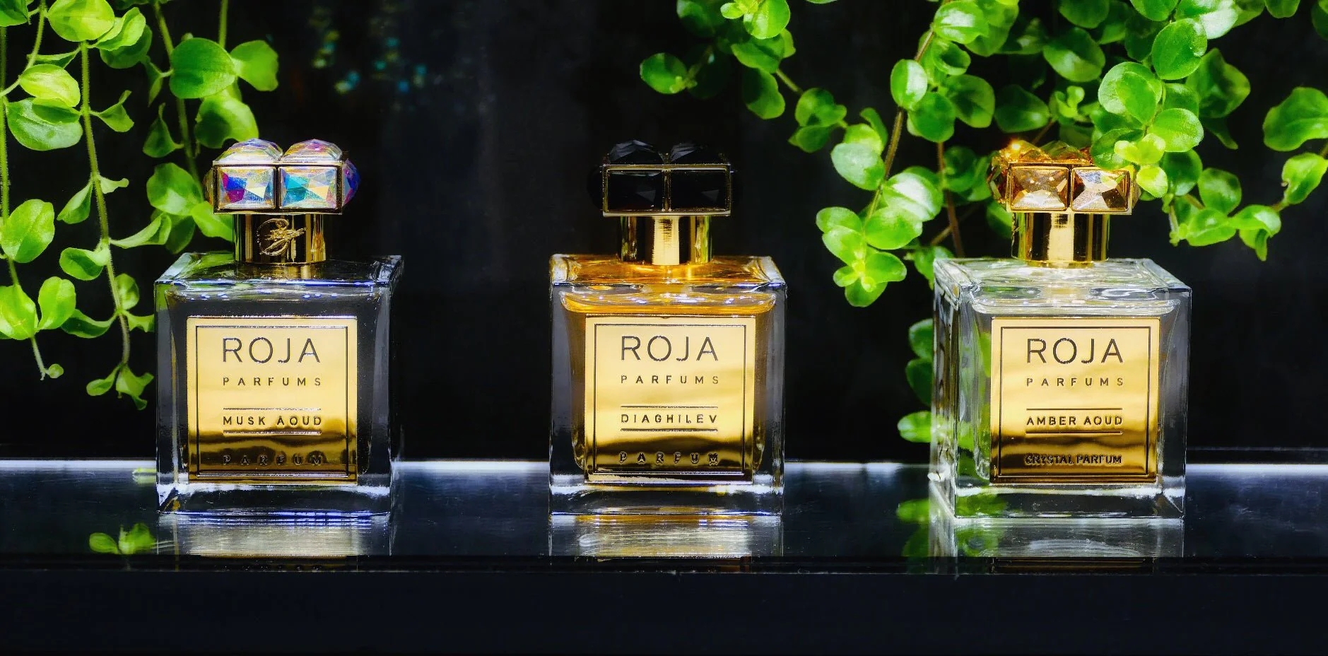 ROJA PARFUMS