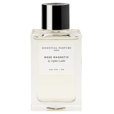 Rose Magnetic By Sophie Labbe