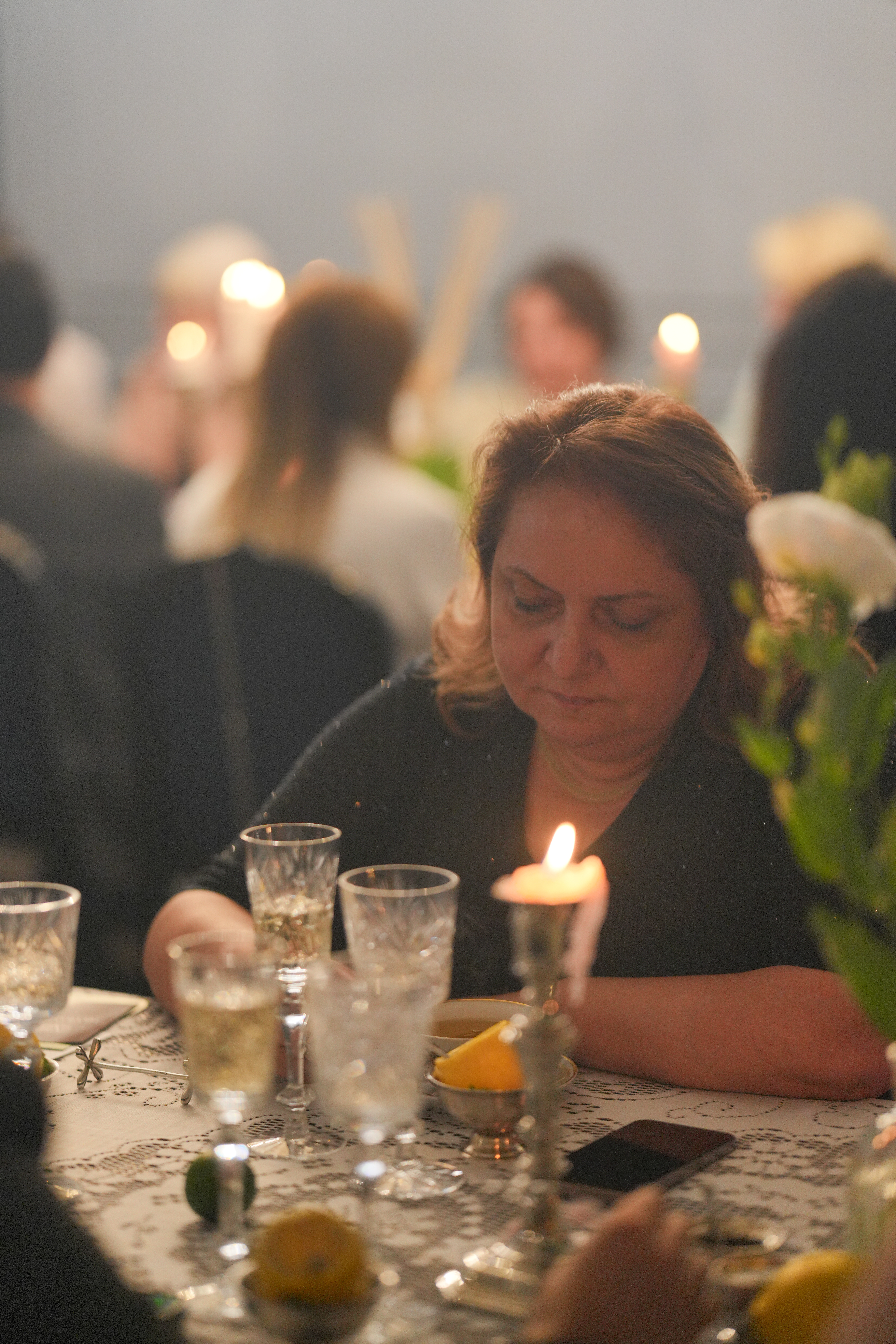 Exclusive Dinner with Dr. Vranjes