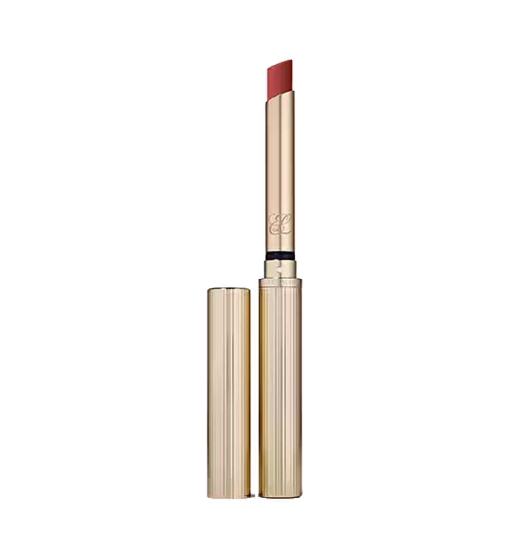 Pure Color Explicit Silk Matte Lipstick Wrong Place, Right Time