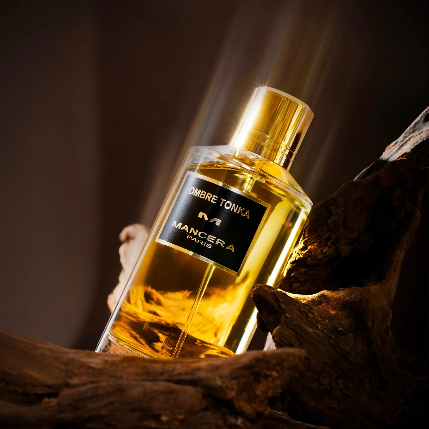 Ombre Tonka image 2