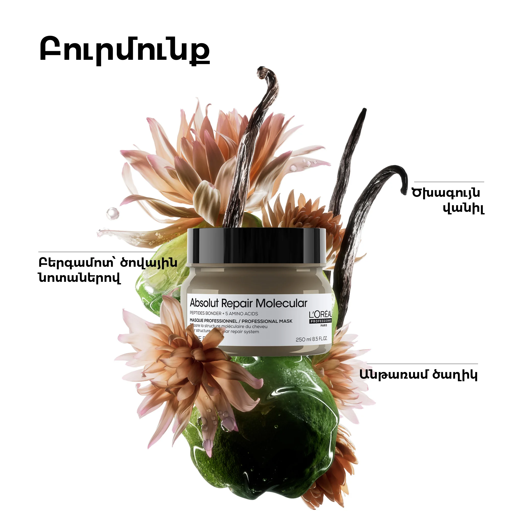 Absolut Repair Molecular Professional Mask image 3