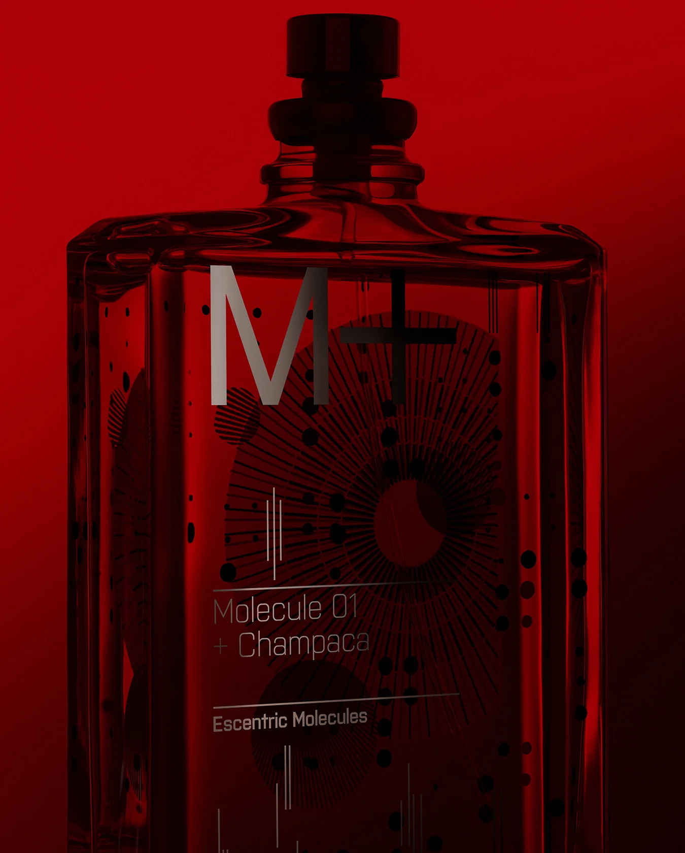 Molecule 01 + Champaca image 3