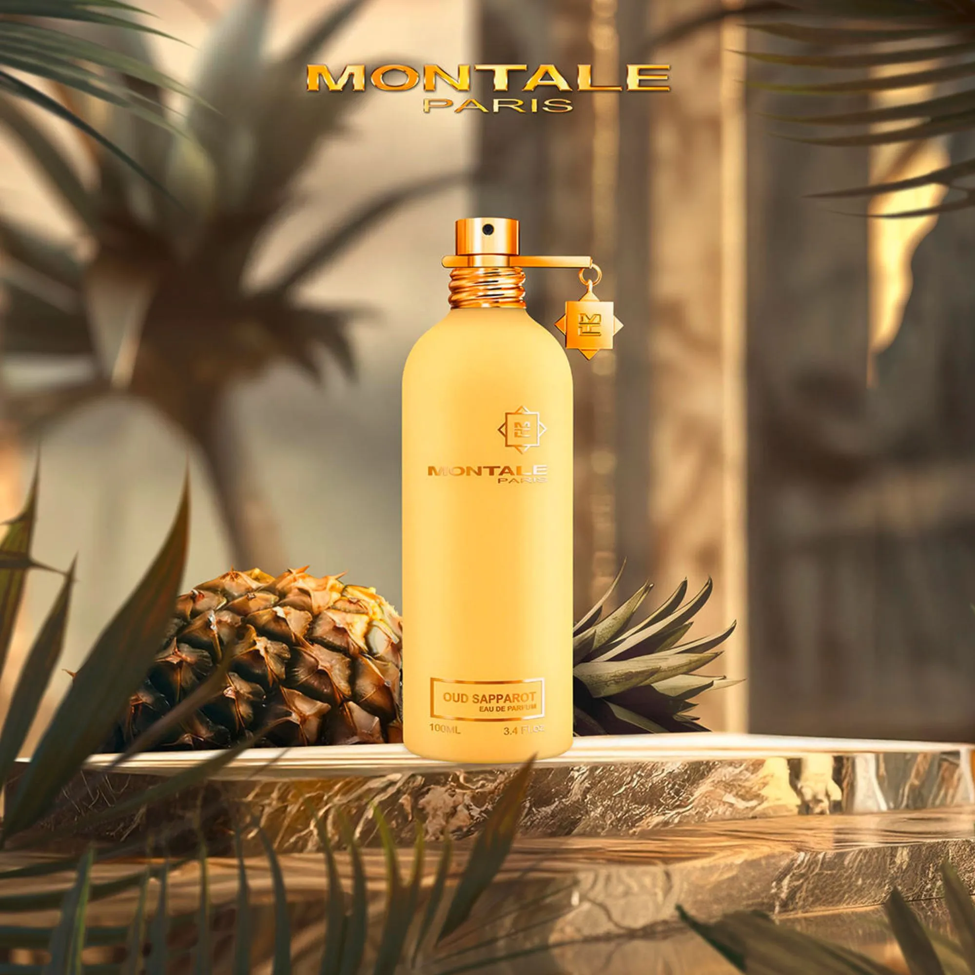 Oud Sapparot image 2