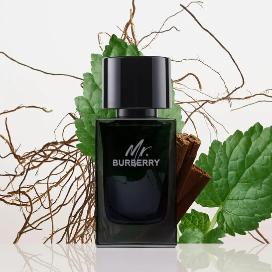 Mr. Burberry Eau De Parfum image 2