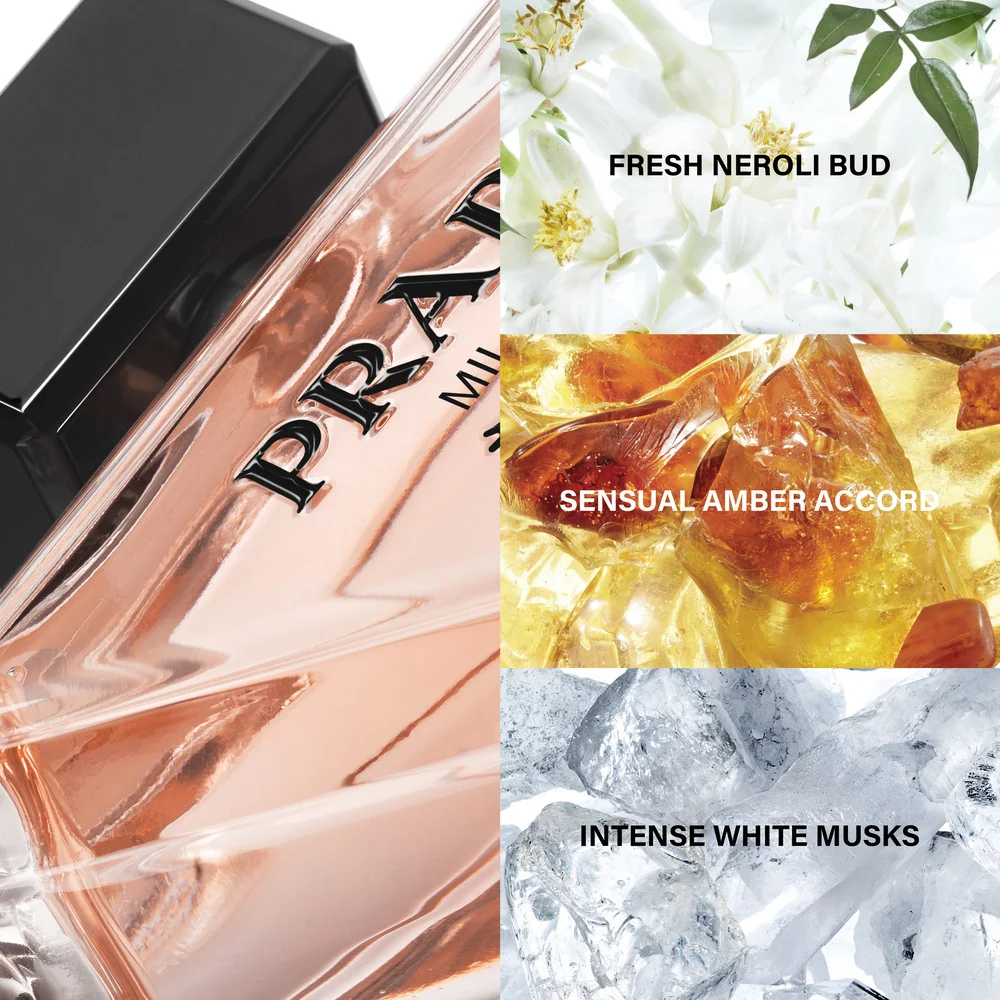 Paradoxe EDP image 3