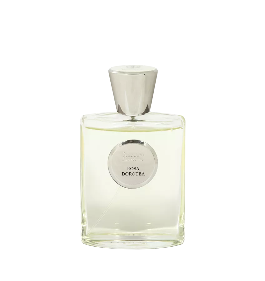 Rosa Dorotea EDP