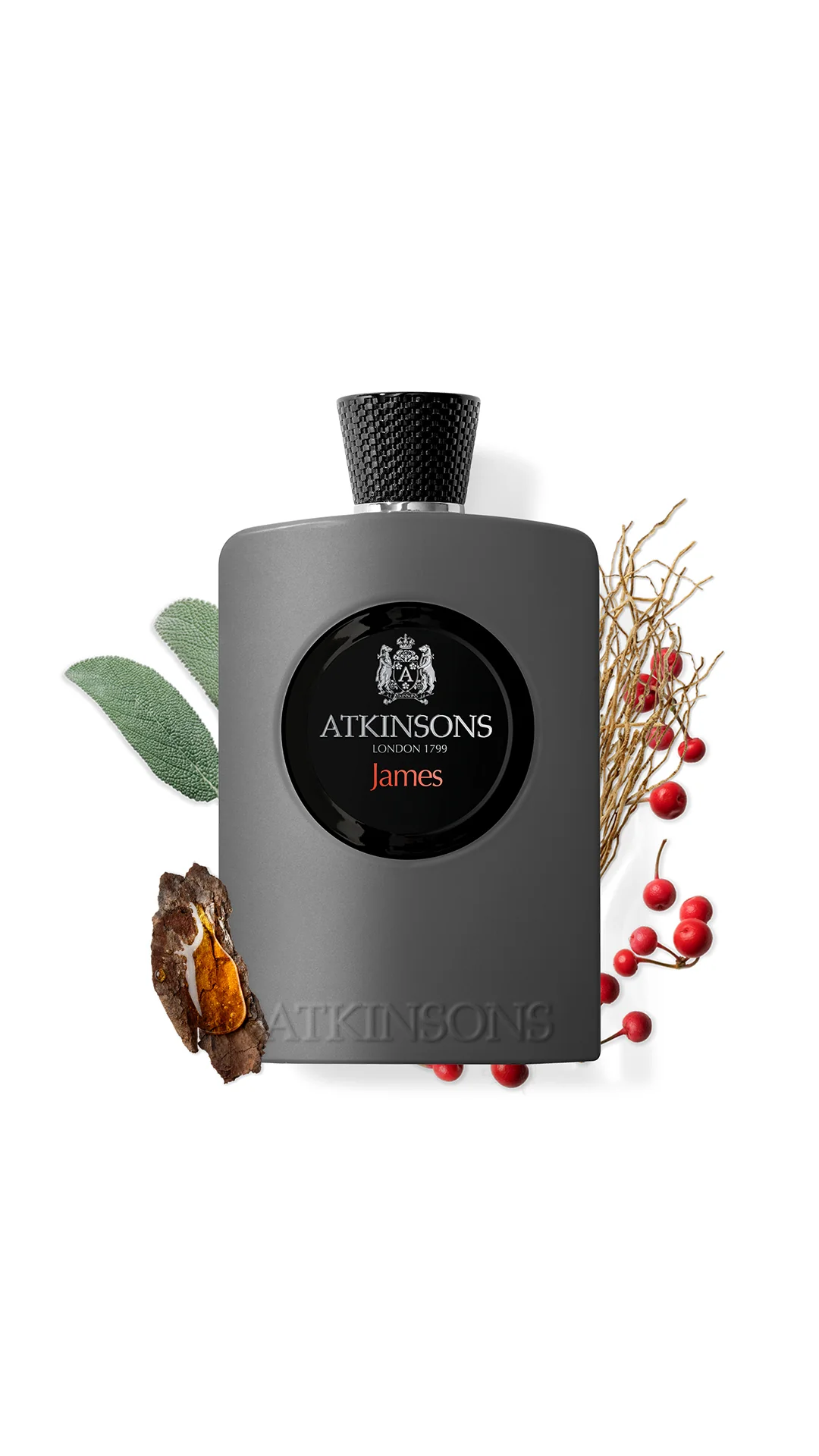 James Eau De Parfum   image 2
