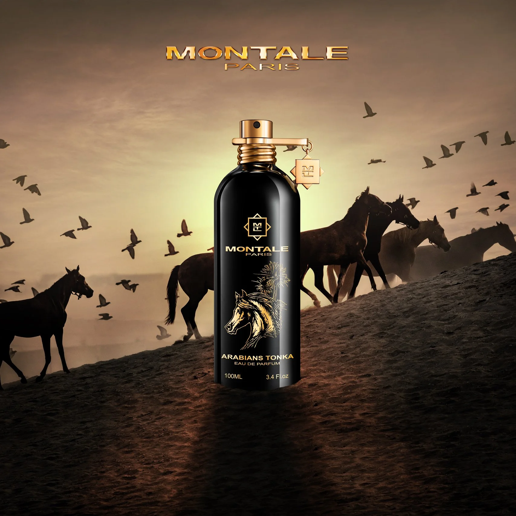 Arabians Tonka image 2