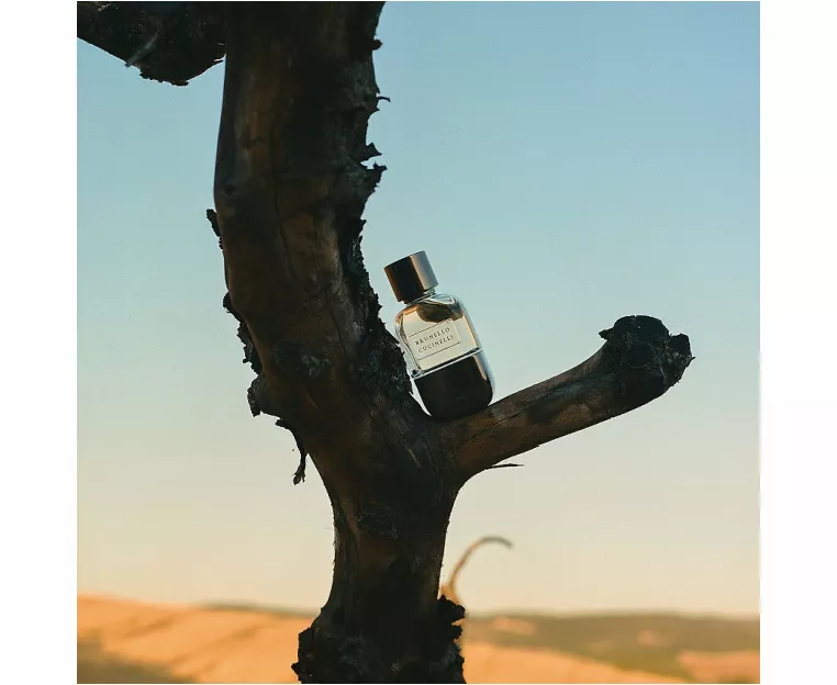 Pour Femme Eau De Parfum  image 3