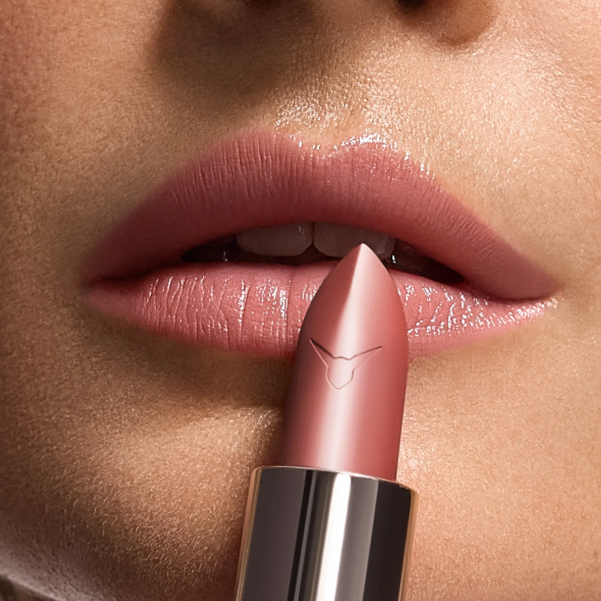 Lipstick Nude Veil image 3