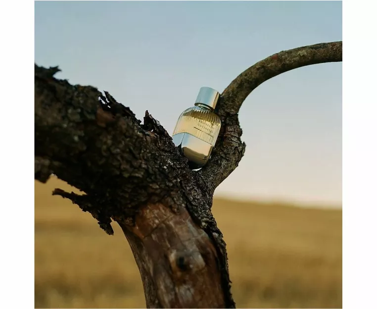 Pour Homme Eau De Parfum  image 2